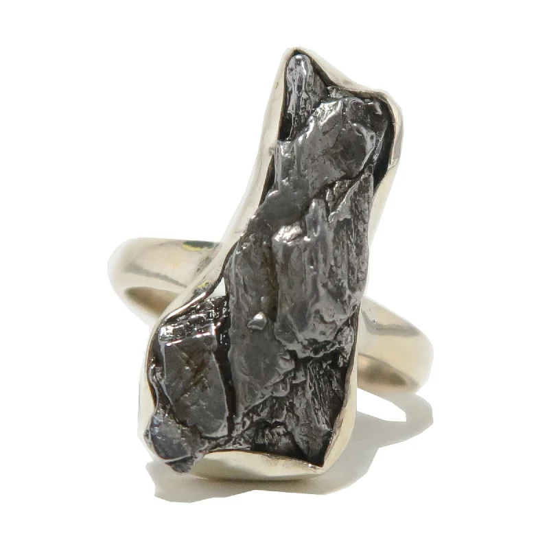 Rings with double bands for modern twist -Campo Del Cielo Meteorite Ring Sterling Silver Size 9